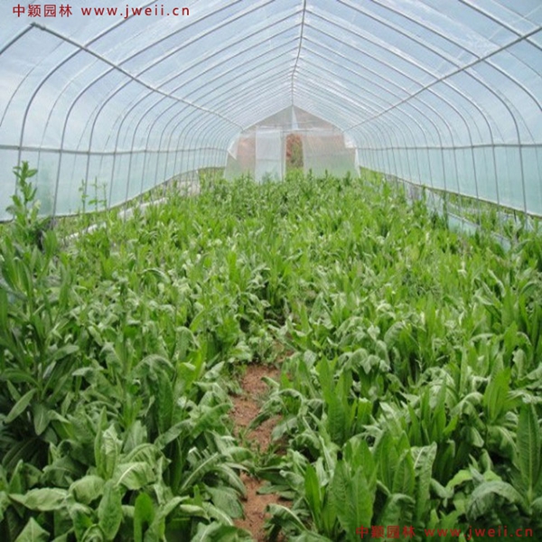 1639016600973975.jpg 1_副本.jpg