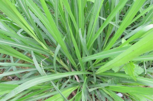 ????′2?????·??§è???§??-??¤??°?é?±?????¤