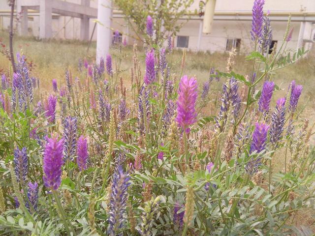 ?-£???????§??¤??2??????o???é??è|??3¨????????°??1?????a?o?