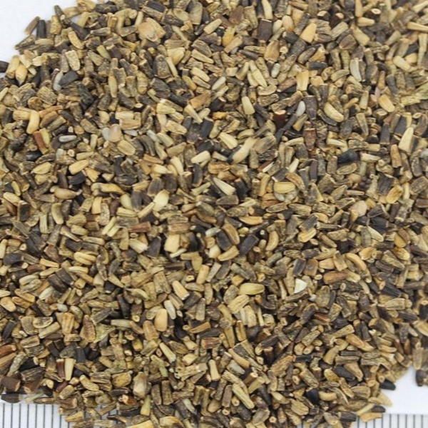 1642831553844630.jpg 菊苣5_副本.jpg