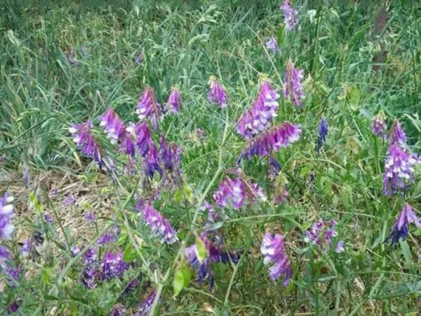 ?ˉ?è???-?????§??¤???1?3???¥??????????????ˉ