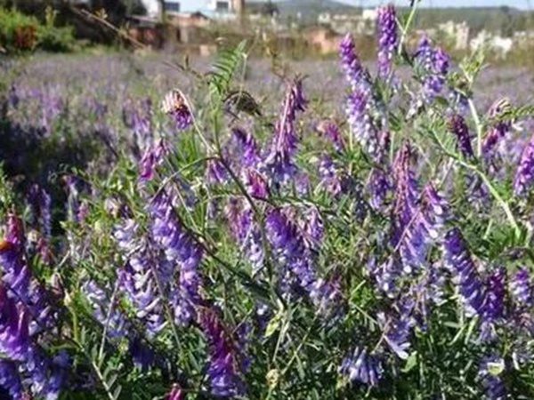 ?ˉ?è???-?????§??¤???1?3???¥??????????????ˉ