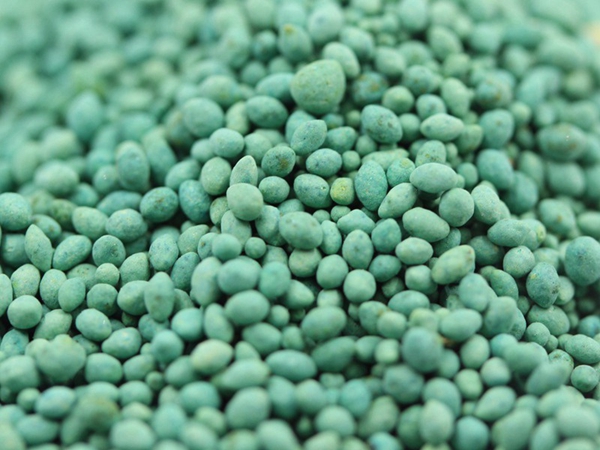 1644305764192097.jpg 狗牙根種子.jpg