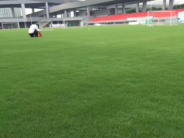 ???????&nbsp;1è????a?????o??????