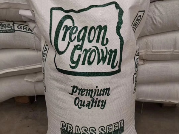 多倍體黑麥草種子