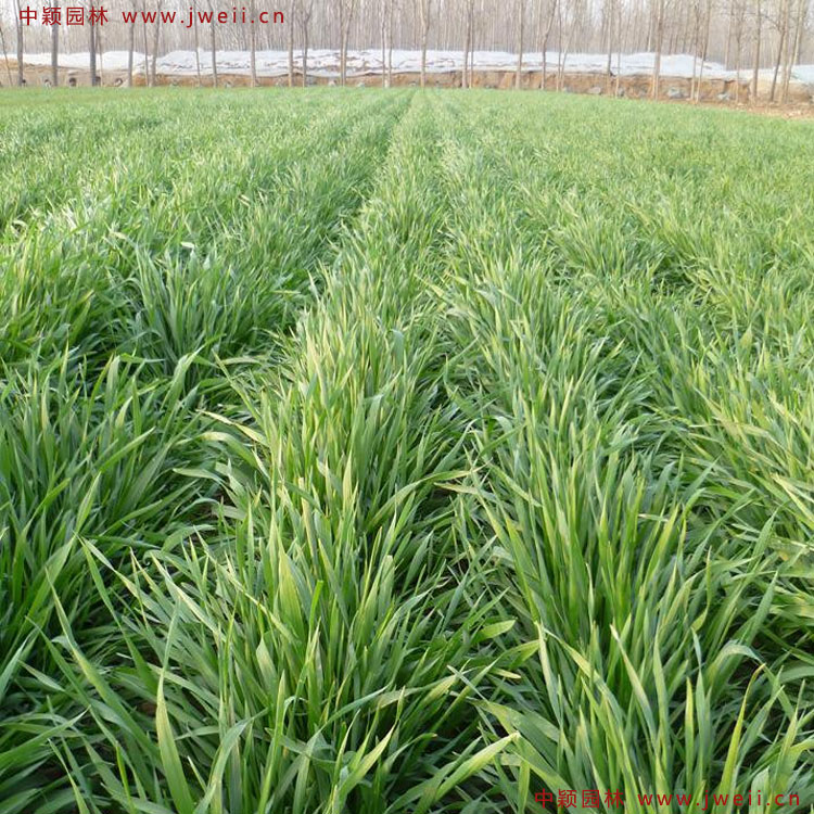 1644648828640128.jpg 11.jpg