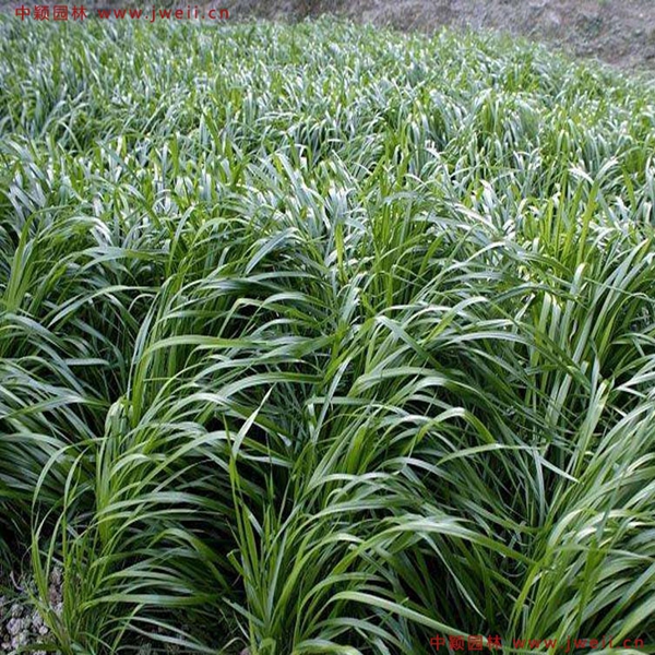 1644649665307278.jpg 4_副本.jpg