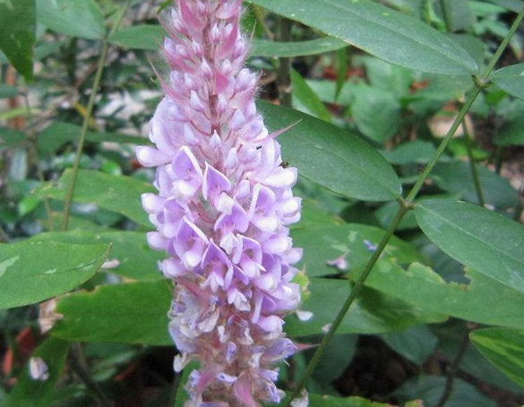 1596901346549817.png image.png