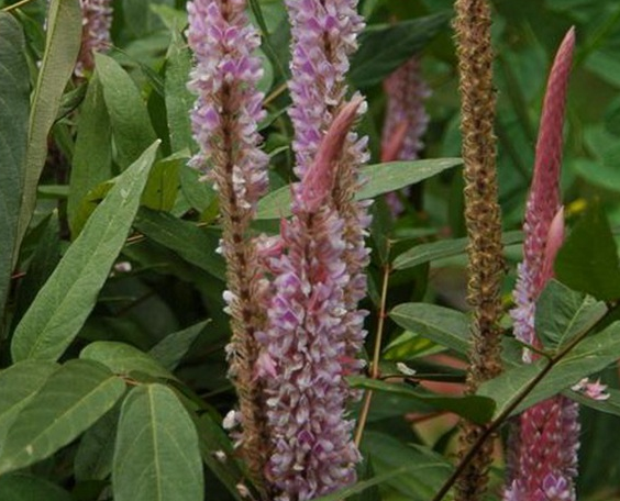 1596901375176155.png image.png