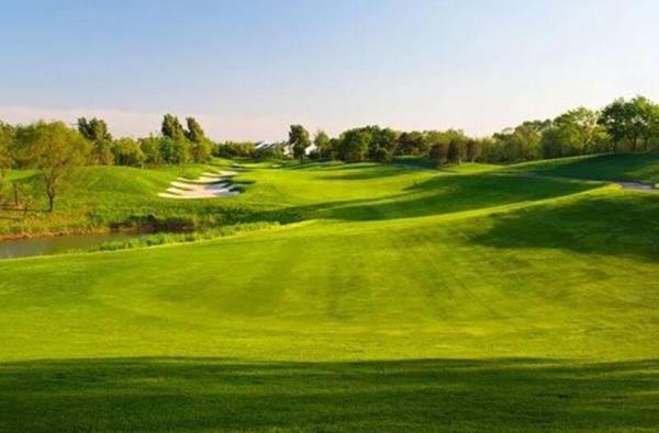 1646965713309385.jpg 草坪1.jpg