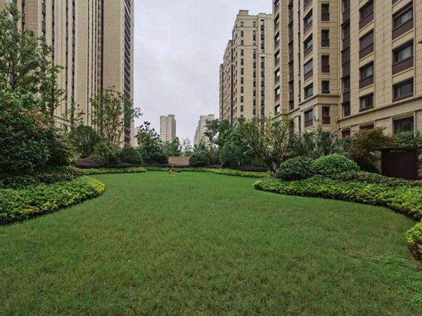 1647685069808402.jpg 1647413558584862.jpg