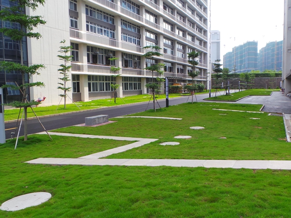 1647685080879104.jpg 1647415340175393.jpg