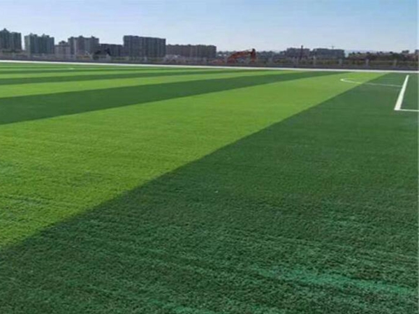 1647685095472583.jpg 草坪5.jpg