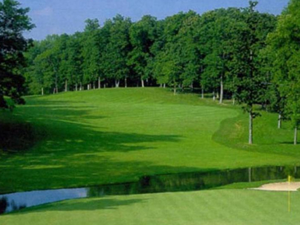 1647775091627692.jpg 早熟禾30_副本.jpg