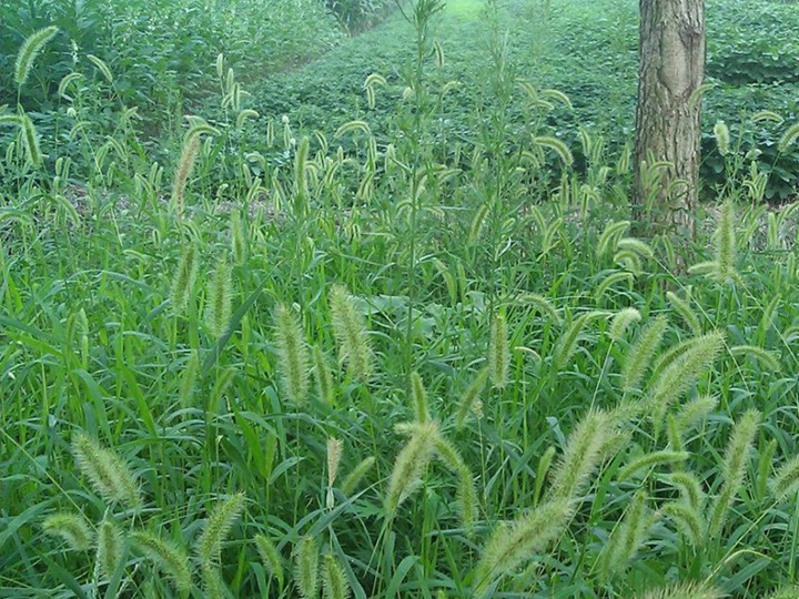 1648109795449354.jpg 5.jpg