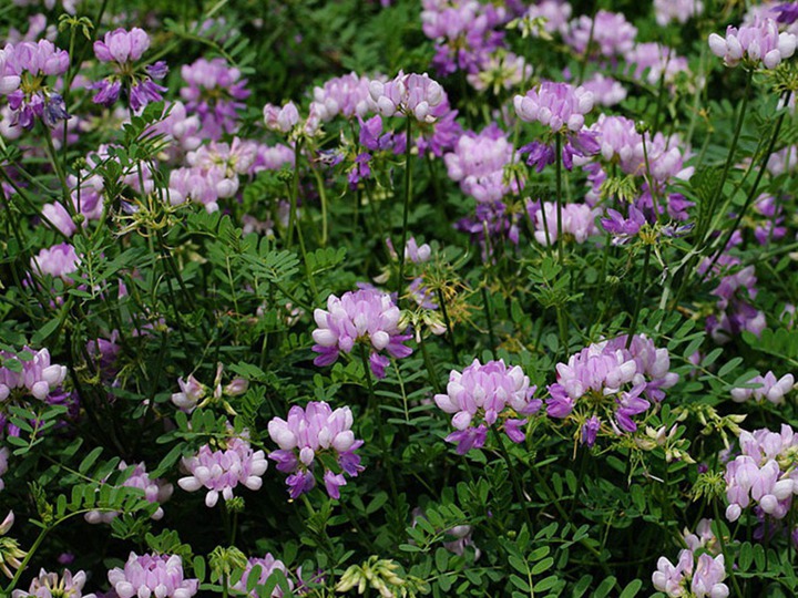 1648109911323249.jpg 7.jpg