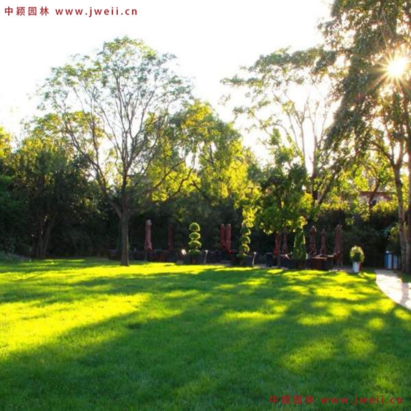 1649420400529962.jpg 8_副本.jpg