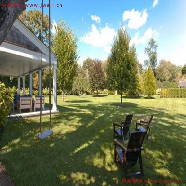 1649420411938737.jpg 7_副本.jpg