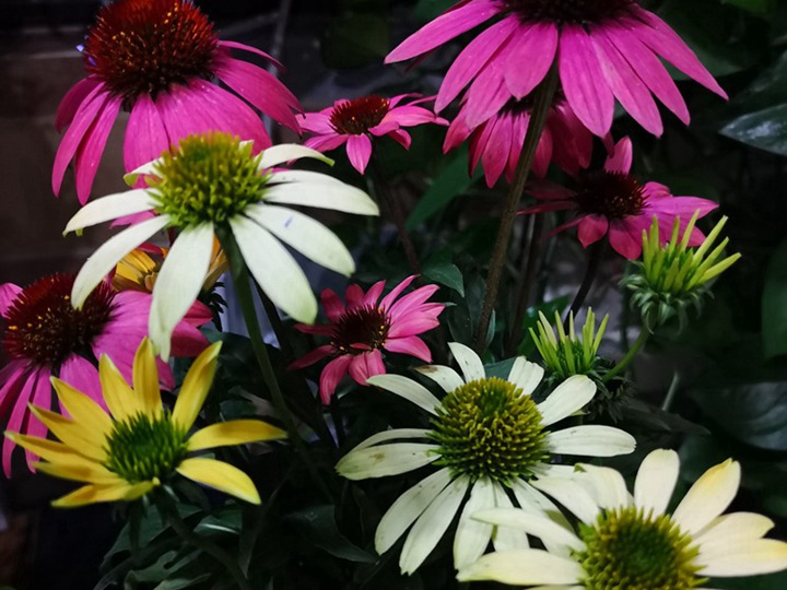 1649490987371690.jpg 4.jpg