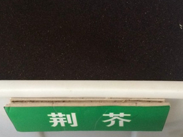 1649682554772495.jpg 荊芥種子.jpg