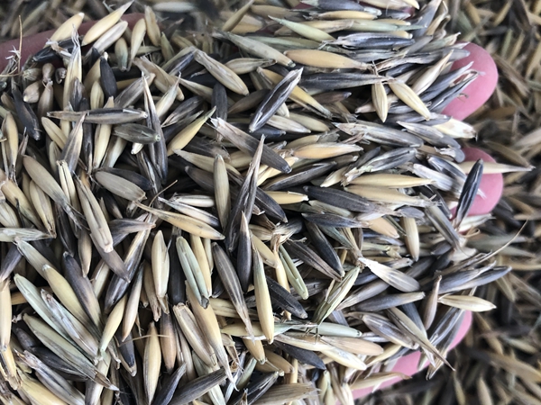 1649746976819160.jpg