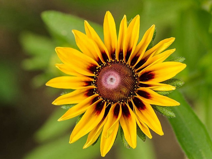 1649763247313834.jpg 7.jpg