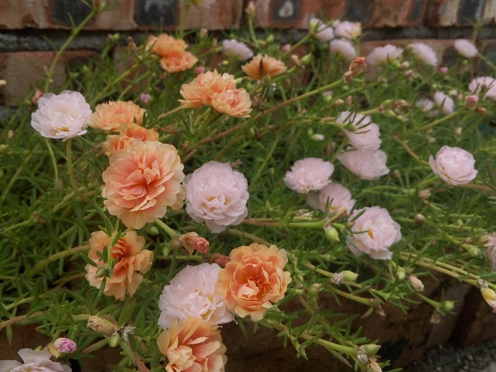 1649928591329463.jpg 3.jpg