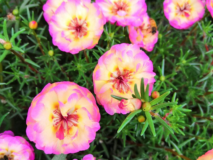 1649928665141973.jpg 10.jpg