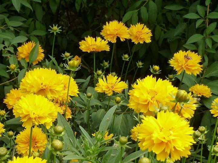 1650367660828551.jpg 6.jpg