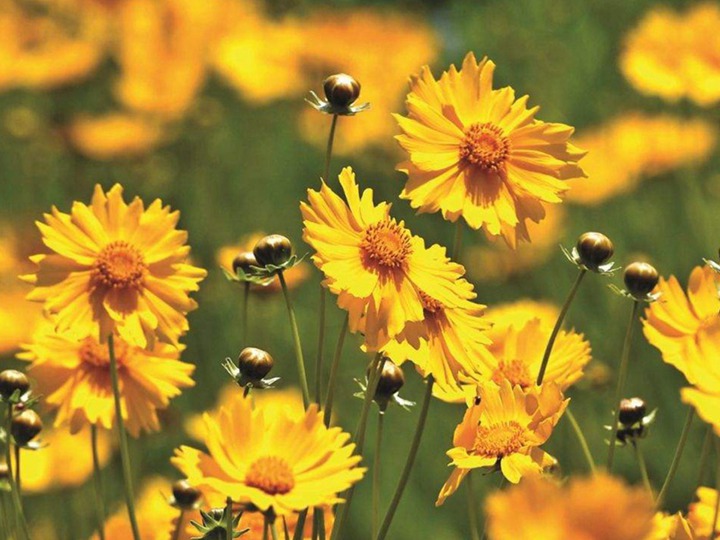 1650367666969526.jpg 11.jpg