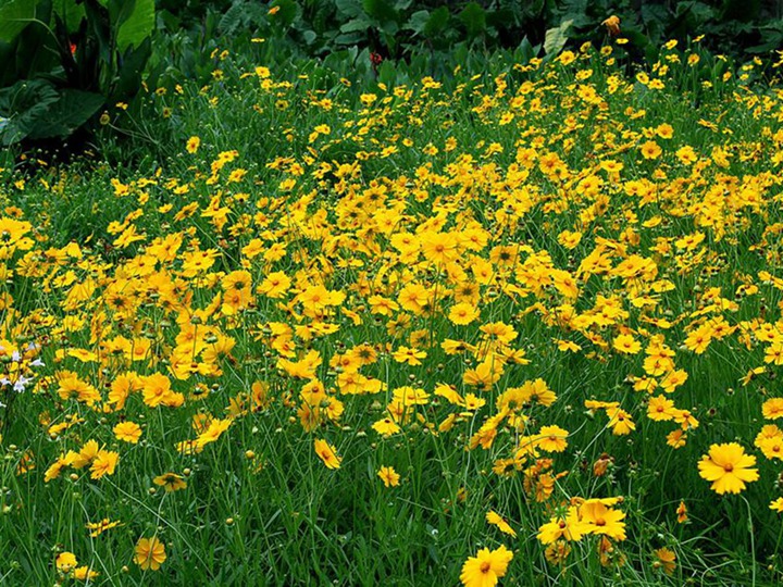 1650367687945430.jpg 2.jpg