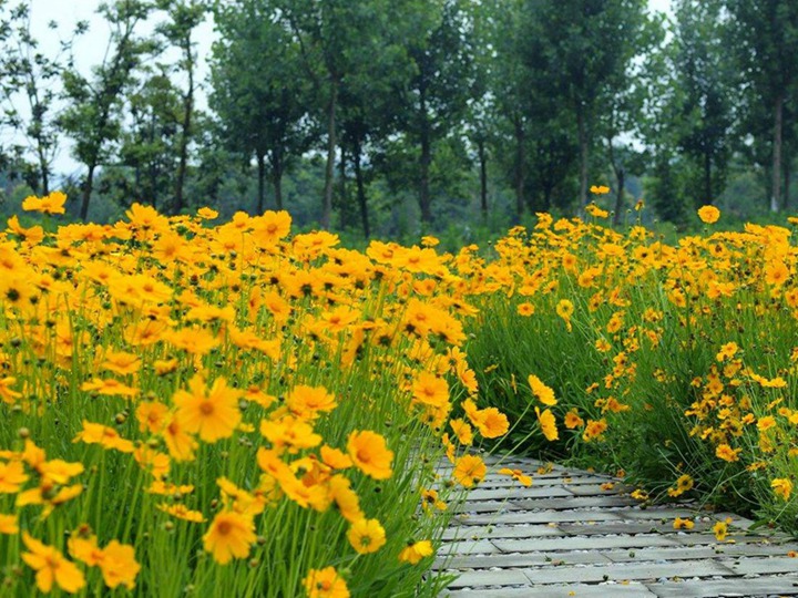 1650367710989218.jpg 3.jpg