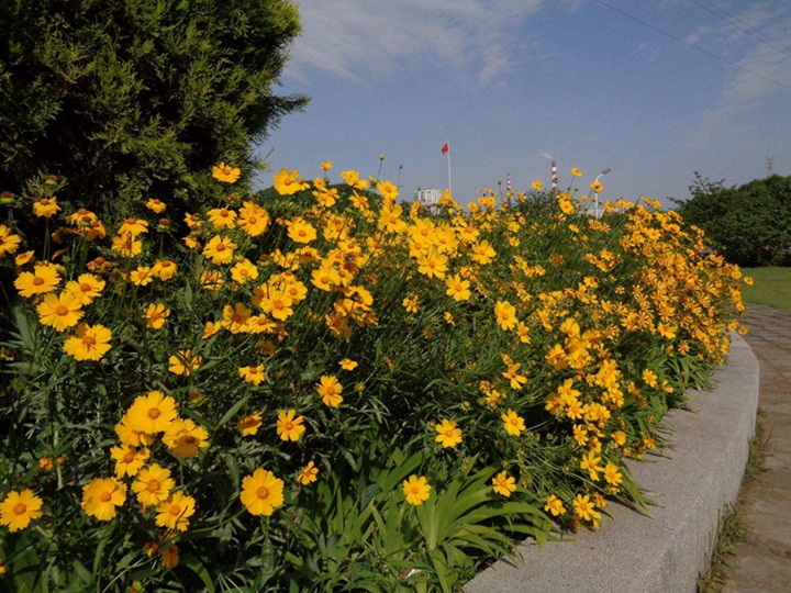 1650367714223312.jpg 5.jpg