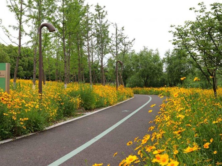 1650367735464778.jpg 10.jpg