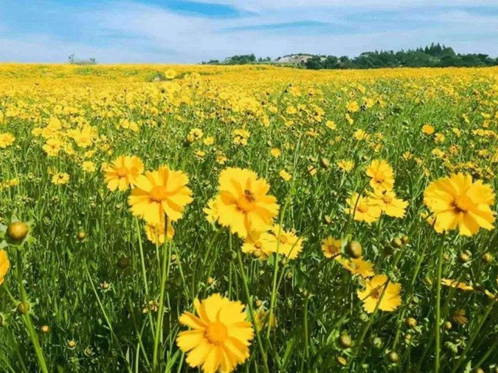 1650367740305240.jpg 8.jpg