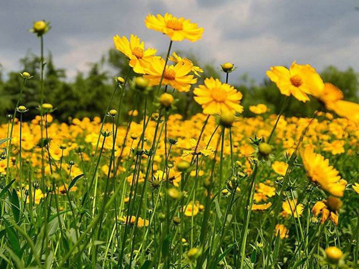 1650367751429508.jpg 12.jpg