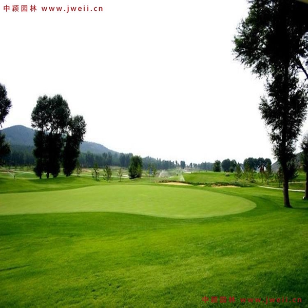 1654680861310928.jpg 3_副本.jpg