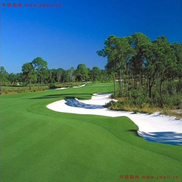 1654683154656467.jpg 4_副本.jpg