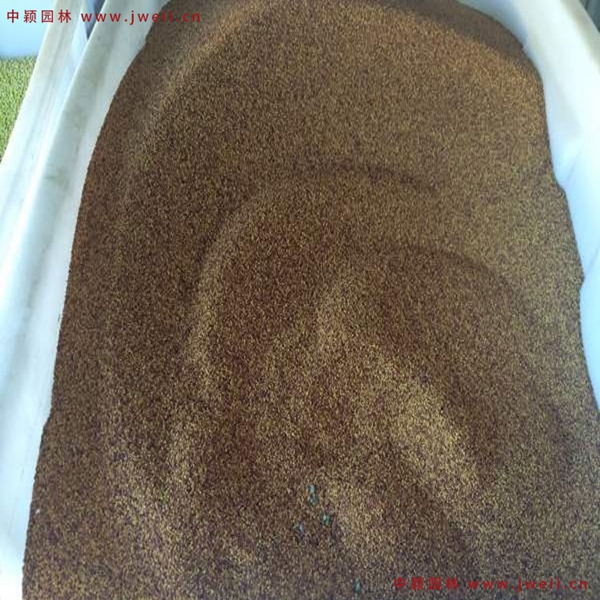 1654684014283130.jpg 8_副本.jpg