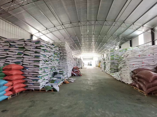 1654748628369893.jpg 種子6.jpg