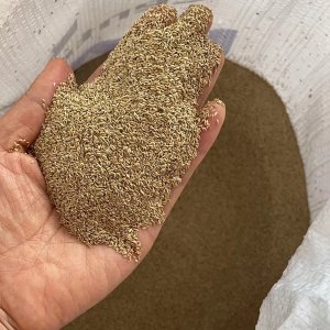 最矮小草坪種子