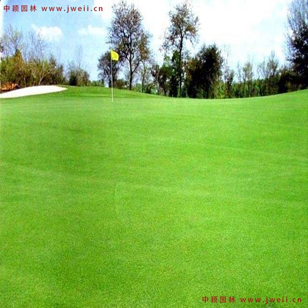 1655287335216115.jpg 5_副本.jpg