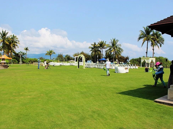 1655287791134277.jpg caoping.jpg