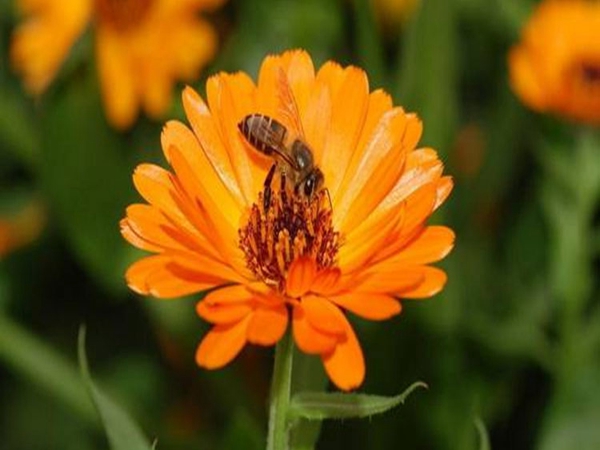 1655440636260326.jpg 1_副本.jpg