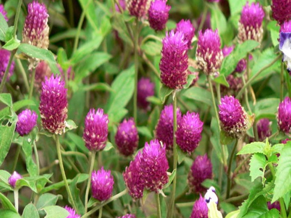 1655442041330368.jpg 2_副本.jpg