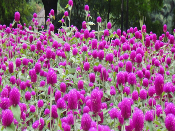 1655442047931373.jpg 4_副本.jpg