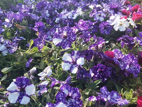 1655461840447728.jpg 20_副本.jpg