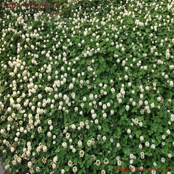 1660902339207370.jpg 1_副本.jpg