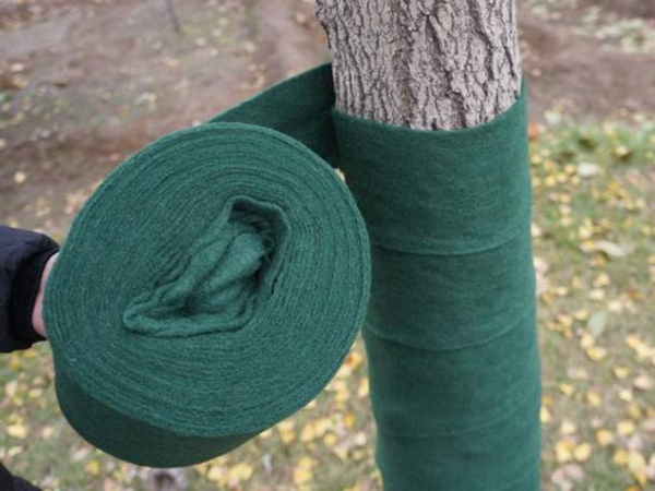 1661473985838517.jpg 包樹布.jpg