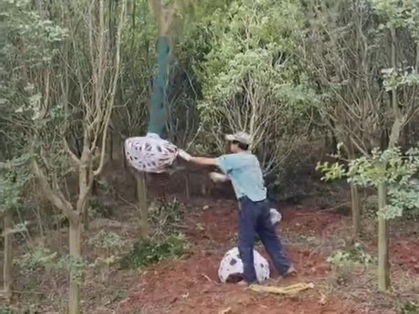 1661478441812034.png 布條.png